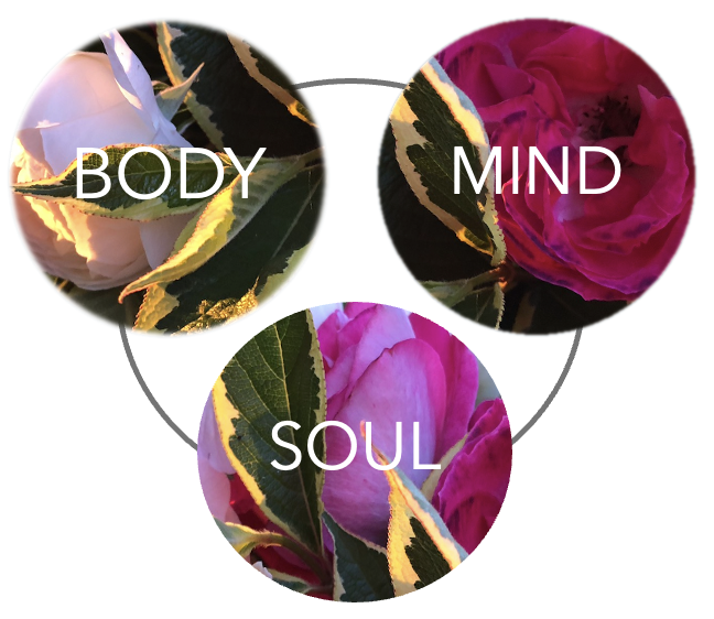 Body Mind Soul